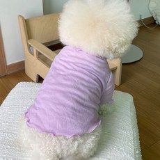 바이담수미 강아지 슈팅날라 티셔츠, 퍼플, 1개