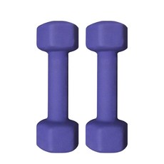 핏분 네오프렌 컬러 아령 퍼플 FB-DUM302, 2kg, 2개