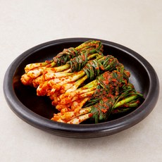 원해원 파김치, 1kg, 1개