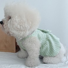 bydamsoomi 狗狗蝴蝶結縮褶洋裝, 綠色