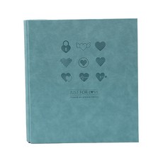 블랙피그샵 대용량 홈삽입식 포켓식 앨범, 타입9(앨범), 랜덤발송(내지), 20매