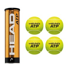 HEAD ATP 巡迴賽網球 Canball 4p, 淺綠色, 1組