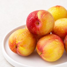 산지직송 아주마 작아도 맛있는 하우스 자두, 2팩, 300g(4~6입)
