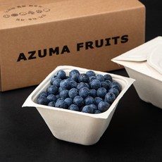 산지직송 아주마 무농약 인증 영동 블루베리, 250g, 2팩