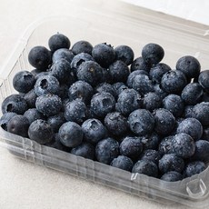 좋은하루 생생 GAP 인증 블루베리, 300g, 1개