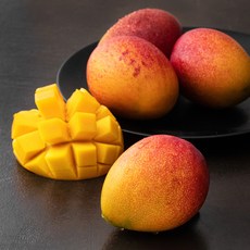 좋은하루 제주는 애플망고지, 1.5kg(중과,5입), 1개