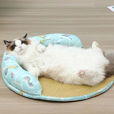 반려동물 이자벨홈 대나무 방석 여름 매트, 블루