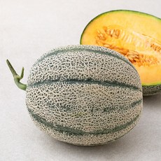 올바른과일 에어포장 칸탈로프멜론, 1개, 1.2kg