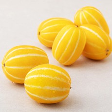 성주 무농약 참외, 1kg, 1봉