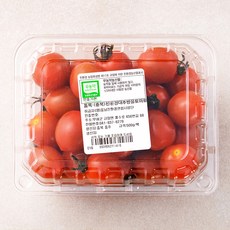 충북 무농약 인증 대추방울토마토, 500g, 1개