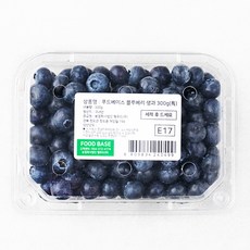 푸드베이스 국내산 블루베리 생과, 300g(특), 1개