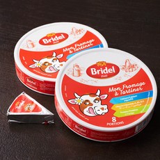브리델 포션치즈, 120g, 2개