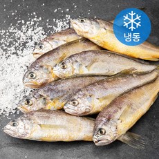 국산 영광 법성포 참굴비 8미 (냉동), 600g, 1팩