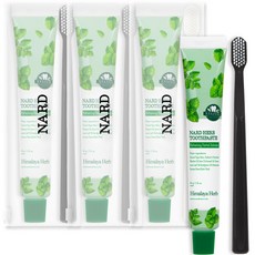 나드 부케가르니 여행용 치약 + 칫솔 렌덤발송 + 파우치, 3세트