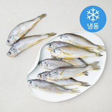 국내산 참조기 (냉동), 800g(10미), 1팩