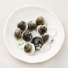 살맛나요 서해안 갯벌 모시조개 (냉장), 200g, 1개