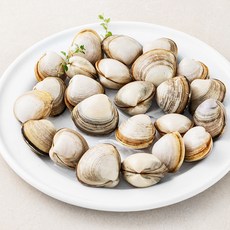 서해안 갯벌 동죽조개 (냉장), 1개, 400g