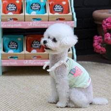 에이미러브즈펫 반려동물 비키니커버업 티셔츠 + 선글라스, 그린(티셔츠), 1개