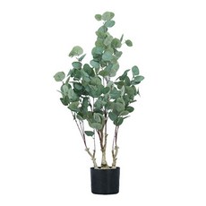유칼립투스 60cm, 혼합색상, 1개