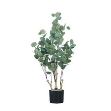 유칼립투스 120cm, 혼합색상, 1개