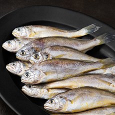 영광수협 몸애좋은 참조기, 1.2kg(18-22미), 1개