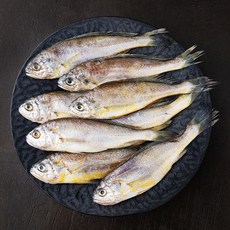 영광수협 몸애좋은 참조기, 1.05kg(13-17미), 1개