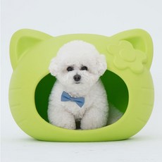 레드퍼피 반려동물 브랜드키 하우스 + 방석 세트, 파우더그린, 1개