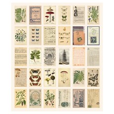 30款攝影道具懷舊風格明信片組 03C, 1套, 混合顏色