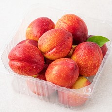 가족 신비 복숭아, 800g, 1개