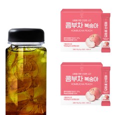 DAY& 康普茶隨身包 蜜桃口味 5g 60條入+水瓶, 300g, 1組