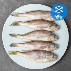 아라장 반건조 참조기 (냉동), 1팩, 420g(5마리)