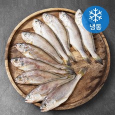 아라장 반건조 참조기 (냉동), 1팩, 700g(10마리)