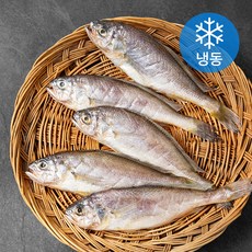 아라장 반건조 참조기 (냉동), 1팩, 350g(5마리)