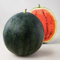 한반도 당도선별 흑미수박, 6kg 미만, 1개