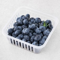 온담채 무농약 인증 조암농협 블루베리, 200g, 1팩