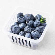 온담채 무농약 인증 조암농협 블루베리, 100g, 1팩