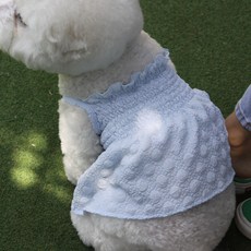 AMYLOVESPET 寵物泡泡連衣裙, 藍色