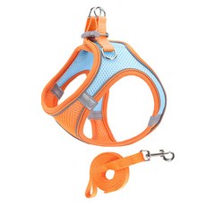 Pai 반려동물 굿타임 하네스세트, 블루오렌지, 1세트