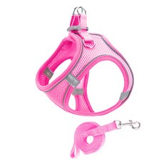 PAI Good Time 胸背帶 + 牽繩套組, 粉紅色, 1套