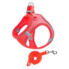PAI Good Time 胸背帶 + 牽繩套組, 紅色, 1套