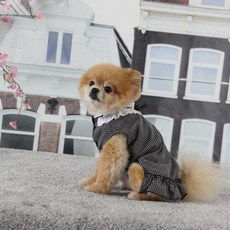 AMYLOVESPET 花邊領格紋寵物連身裙, 天藍色