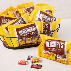 허쉬 미니어처 어쏘트 초콜릿, 10개, 155g