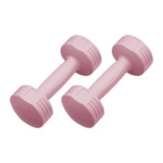 피어니스트 논슬립 홈트 덤벨 핑크 3kg, 2개