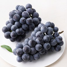 산지직송 아주마 영동 상주산 하우스 거봉포도(2수), 900g, 1개