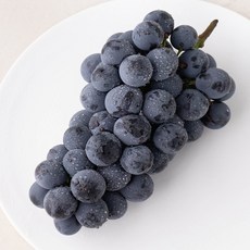산지직송 아주마 영동 상주산 하우스 거봉포도(1수), 460g, 1개