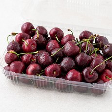 과일엔 미국산 생체리, 800g, 1팩