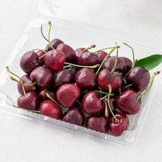 과일엔 미국산 생체리, 400g, 1팩