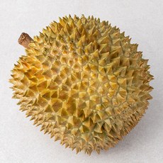 과일엔 태국산 생두리안 몬통, 2.5~3kg 내외, 1개