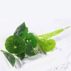 Store91尤加利葉拍攝道具 O, 混合顏色, 1個