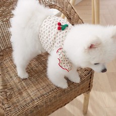 개꿀이냥 강아지 상큼 크롭나시 HDSV00047, 아이보리